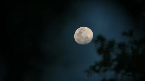 On a dark night With a large moon illuminating Video stock 130653598
