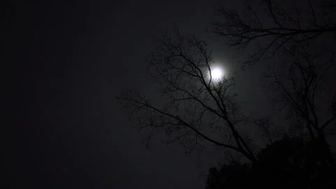 Dark Night Moon Timelapse 動画素材 139576069