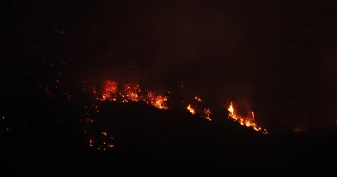 Dark night mountain forest fire blaze pine trees 4K Stock Footage 138843774