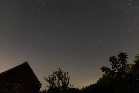 Dark night sky full of bright stars over roof and tree crowns Stock-Fotos