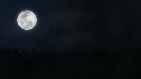Dark Night Sky With Full Moon And Stars Above Forest Silhouette. 스톡 동영상 169319964