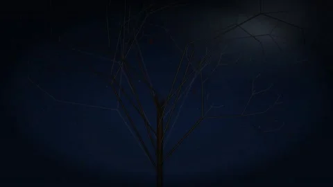 Dark Night Sky Motion with Starry Night Sky and Cloud Movement for Atmosphe.. Vídeo Stock 342524583