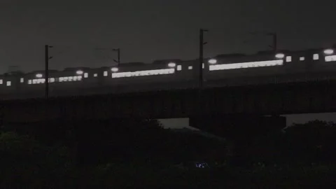 In dark night train passing through cement viaduct in flower fields . Stock Footage 278186718