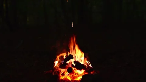 Dark nighttime campfire burning in deep woods with glowing charcoal embers Stock Footage 345716440