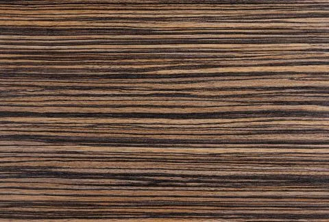 Dark oak Stock Photos