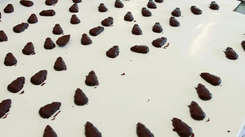 Dark oblong candies coating on white conveyor belt in candy factory Stock Footage 340605070