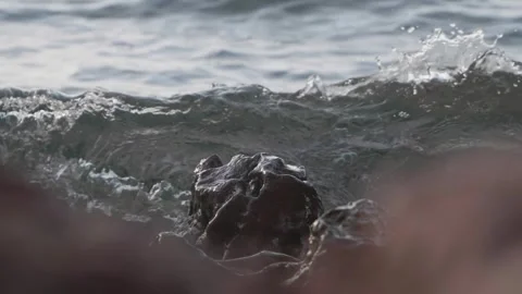 Dark ocean wave crashing over rock with white sea spray Stock Footage 337410090