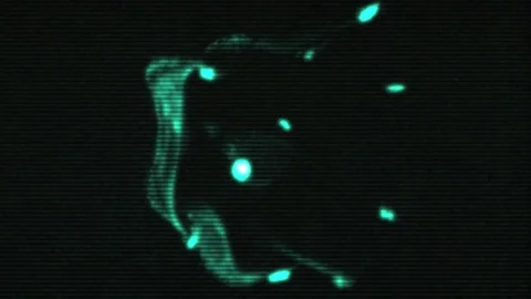 Dark Octopus Vidéo 72128433