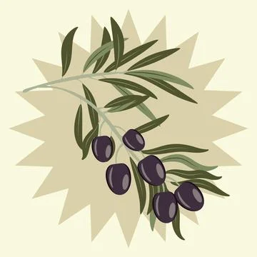 Dark olives on branch イラスト素材