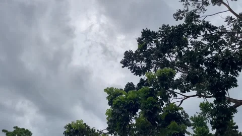 Dark Ominous Storm Clouds Billowing Next to Large Green Trees Stock-Footage 346237620