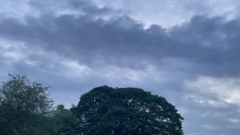Dark Ominous Storm Clouds Gathering Over Green Tree Canopy Stock-Footage 345980330