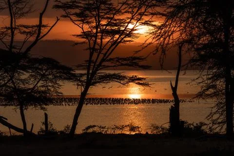 Dark orange sunset over Lake Nakuru in Kenya Africa Stock Photos