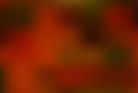 Dark Orange vector modern elegant background. Stock Illustration