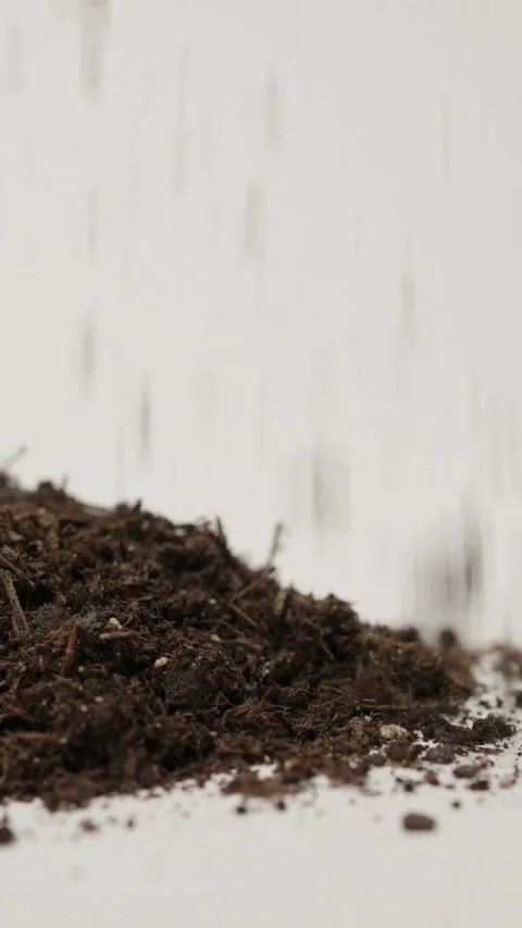 Dark organic potting soil falling onto pile white background Video stock 331770086