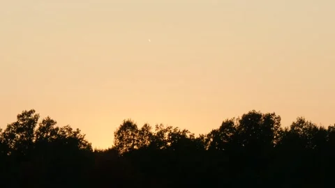 Dark outline of forest against orange sunset sky. Stock Footage 291512334