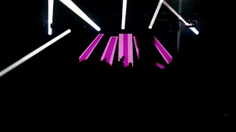 Dark outlines of dancers grooving under disco lights Stock Footage 305275370