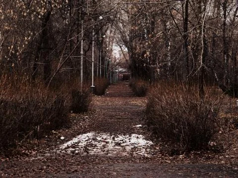 Dark park Stock Photos