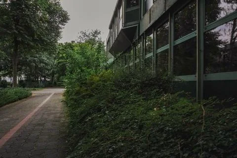 A dark park reflected in windows creates a mysterious ambiance Foto stock
