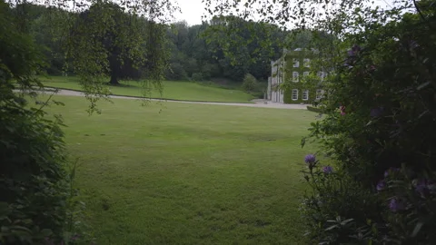 A dark path through a forest with a grassy field in the background Stock Footage 301795002