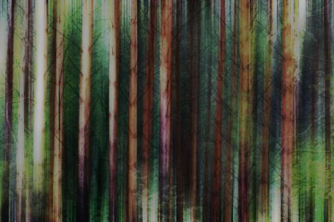 Dark path through forest Stock Photos