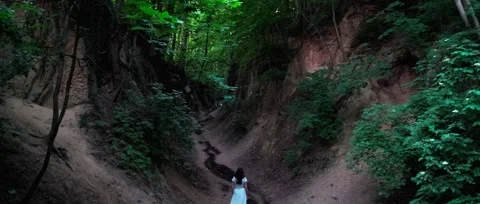 A dark path through the forest, a ravine, in solitude. Sandomierz Stock Footage 319556792