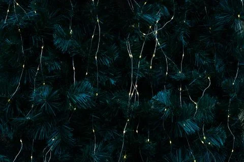 Dark pattern with green branches with pine needles illuminated Stock Photos