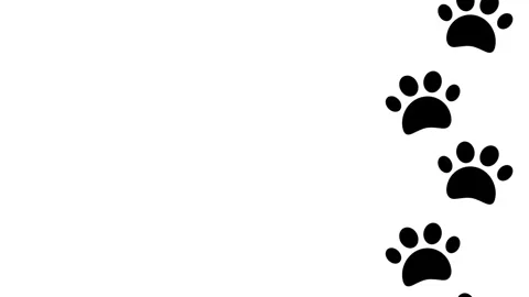 Dark Paw Print Trail Sticker with Walking Footprints Stock Footage 335592211