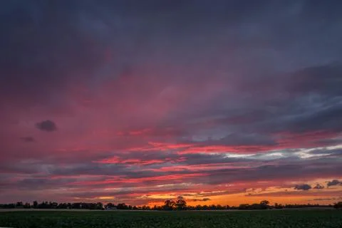 Dark pink clouds after sunset over the horizon Stock Photos