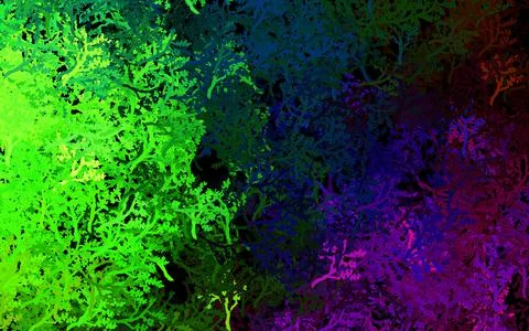 Dark Pink, Green vector abstract backdrop with trees, branches. Stock Illustration