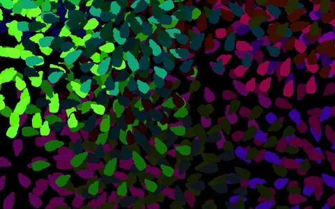 Dark Pink, Green vector pattern with random forms. Stock Illustration