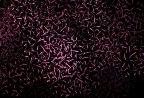 Dark Pink vector background with stright stripes. Stock Illustration