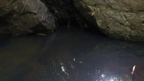 Dark Pond 스톡 동영상 84440776