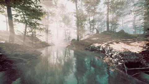 Dark pond in mysterious forest 스톡 일러스트