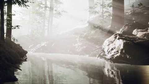 Dark pond in mysterious forest 스톡 일러스트