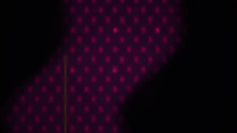 Dark purple checkered pattern with thin orange line on black background. Stock Footage 336227948
