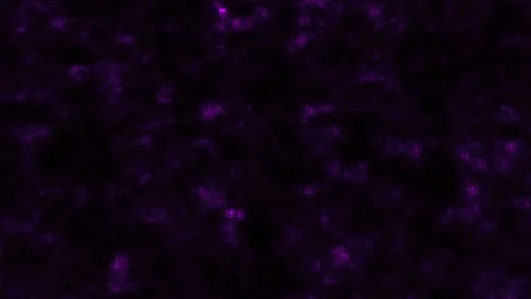 Dark Purple Cyberpunk Digital Pixel Motion Background Loop for VJ Broadcast Stock Footage 342231644