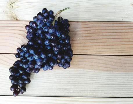 Dark purple fresh seedless grape Stock Photos