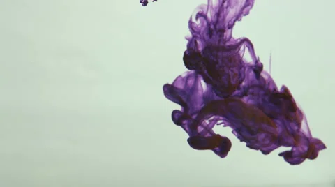 Dark purple ink slowly fall in water Video stock 52696247