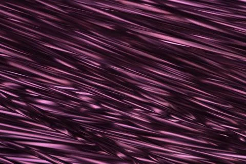 Dark purple Foto stock