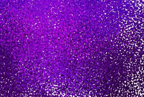 Dark Purple, Pink vector background with bubbles. Stock Illustration