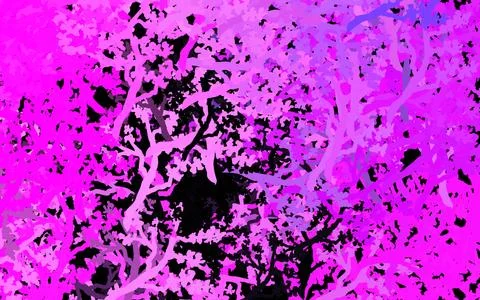 Dark Purple, Pink vector doodle pattern with trees, branches. 스톡 일러스트