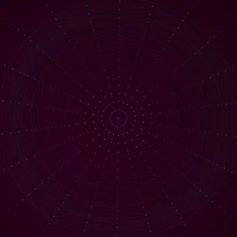 Dark Purple Radial Geometric Pattern with Glowing Dots and Concentric Circles Stock Footage 347811825