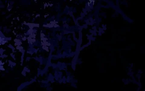 Dark Purple vector abstract backdrop with trees, branches. Stock Illustration