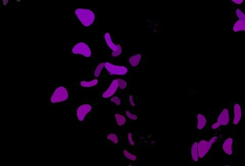 Dark Purple vector pattern with chaotic shapes. Stock Illustration