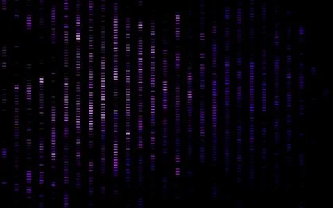 Dark Purple vector pattern with narrow lines. Stock Illustration