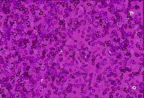 Dark Purple vector template with circles. 스톡 일러스트