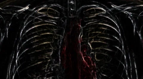 Dark radiograph of irradiated body. (loop ready file) Stock Footage 60641400