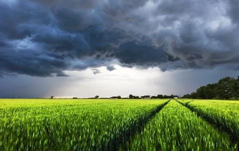 Dark rain cloud with storm over a green field with path Stock Photos