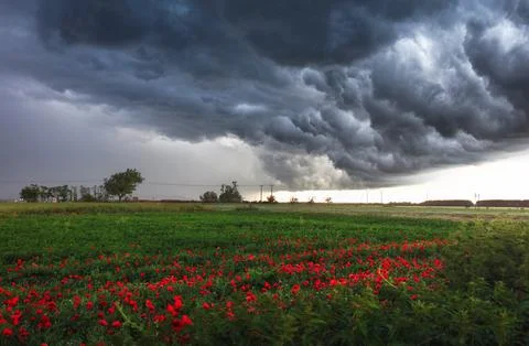 Dark rain cloud with storm over a green field with path Stock Photos