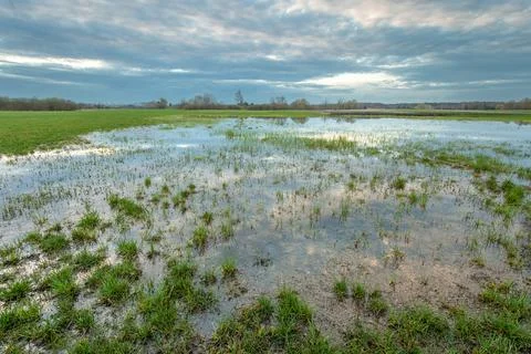 Dark rain clouds over a flooded meadow Stock Photos
